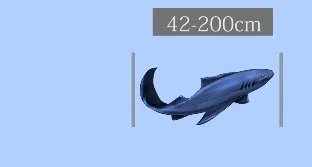 北冰洋发现快四百岁格陵兰鲨鱼,这种鲨鱼寿命都这么长吗?