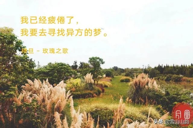 学摄影好吗？什么摄影好？