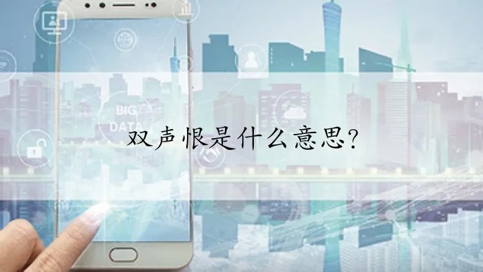 双声恨是什么意思？