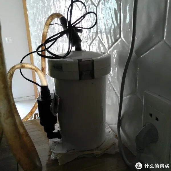 造景 篇一：小白也能玩草缸—聊一聊我的水草缸造景历程