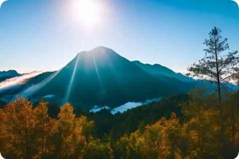 爸爸都有什么本领