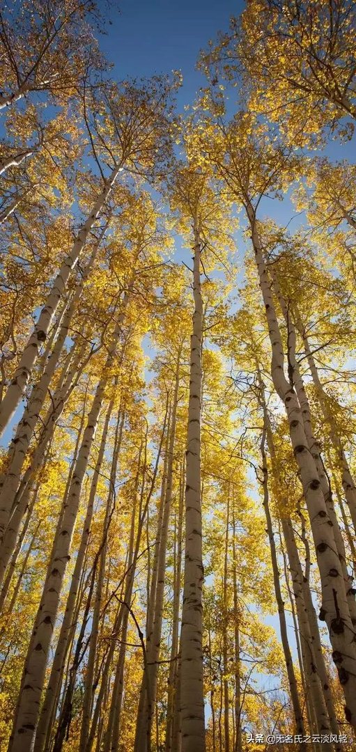 电商在线客服岗位有前途吗？