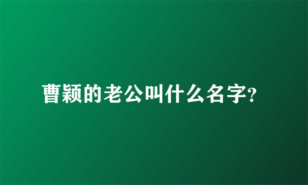 曹颖的老公叫什么名字？