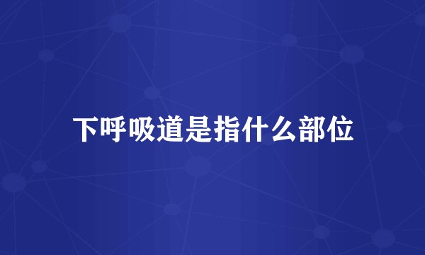 下呼吸道是指什么部位
