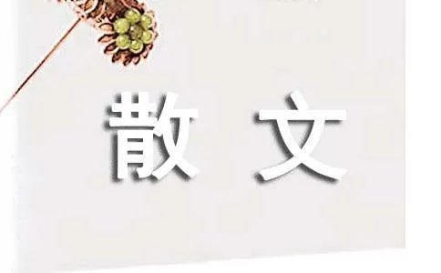 花的启示散文