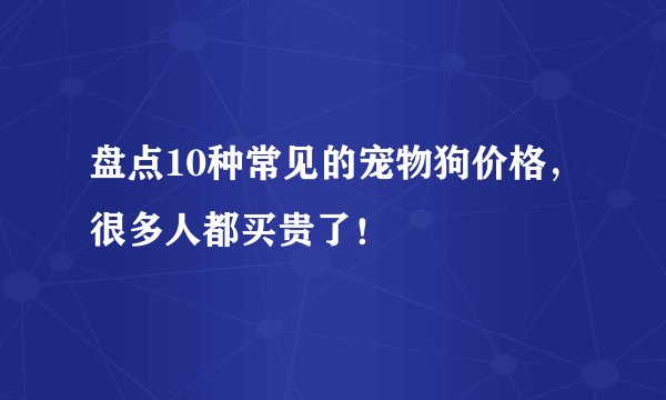 盘点10种常见的宠物狗价格，很多人都买贵了！