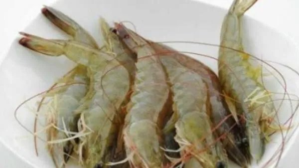 白色盲虾做法