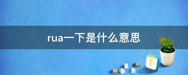 rua一下是什么意思