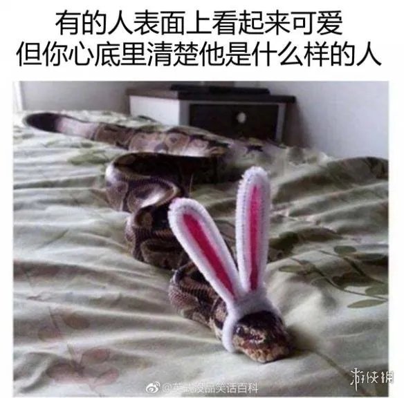 小学生看了根本把持不住 囧图 我也想上这样的体育课