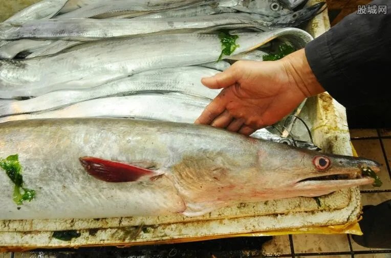 鳗鱼价格是多少钱一斤 2017鳗鱼最新价格多少