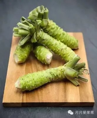 日本料理中的“瓦萨比”到底是什么？山葵和芥末是一种东西吗？