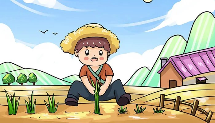 揠苗助长文言文翻译