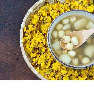 孕妇能吃河蚌吗