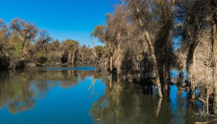 生态板颜色有哪些