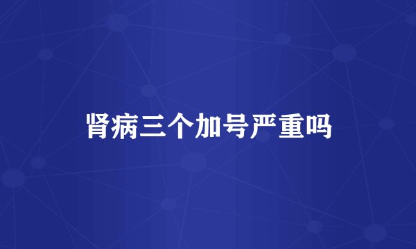 肾病三个加号严重吗