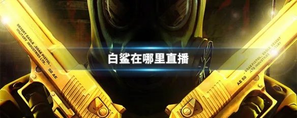 白鲨在哪里直播