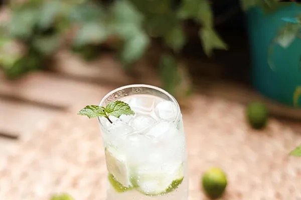 莫吉托的做法大全 莫吉托鸡尾酒的做法
