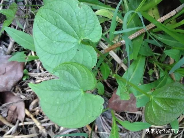 大半个月前我发文说人民币兑美元两周内由升变贬。你相信了吗？