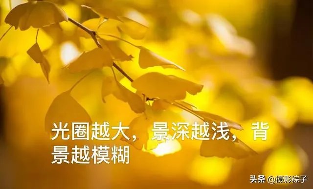 小白怎么学习摄影？