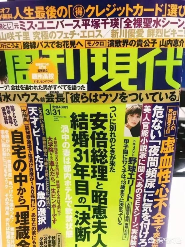 安倍夫人被软禁你怎么看？