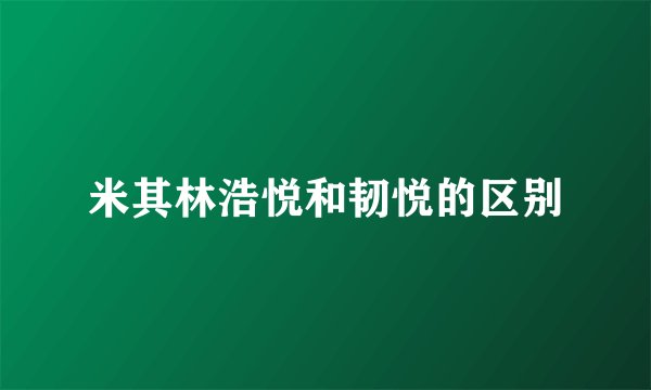 米其林浩悦和韧悦的区别
