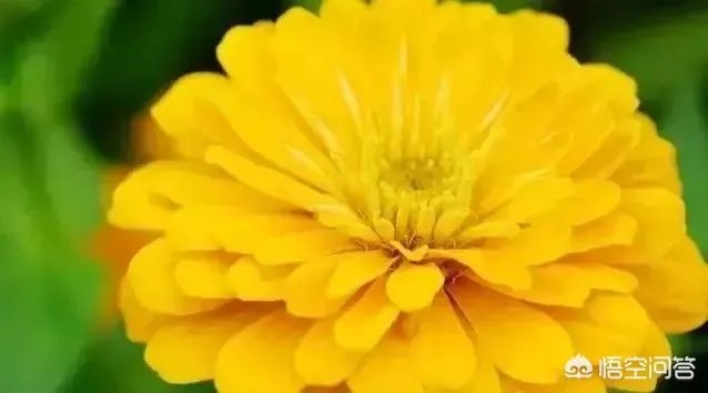 小白怎么学习摄影？