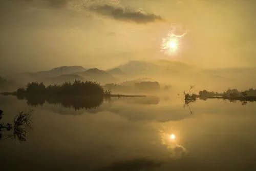 为什么瘦小的周迅出演过那么多的大美女却没有争议？