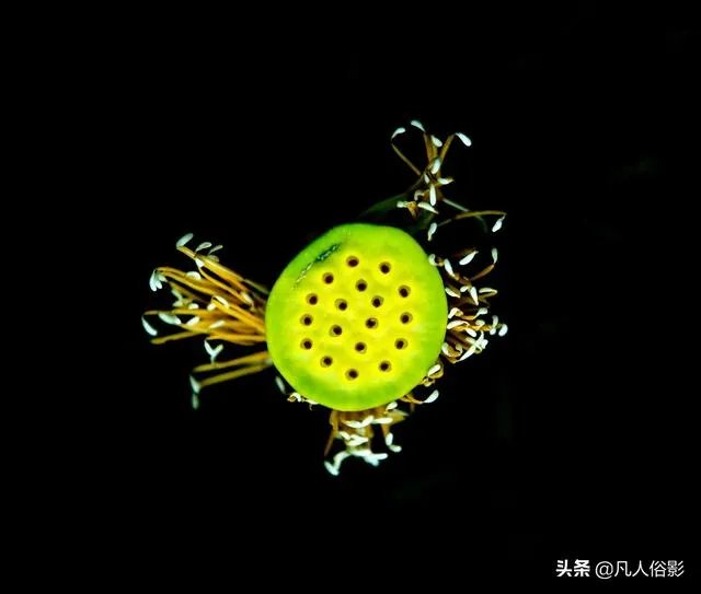 小白怎么学习摄影？