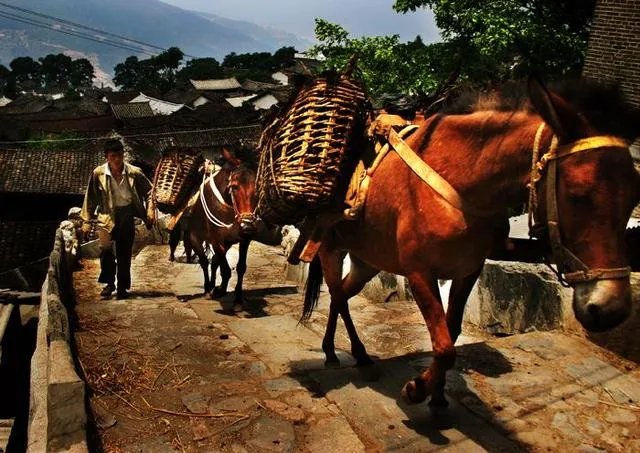 茶马人家歌词？