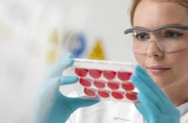 基因工程和转基因技术有什么区别和联系？