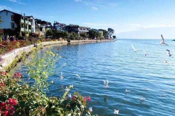 云南省高考录取分数线为什么相较于多个省