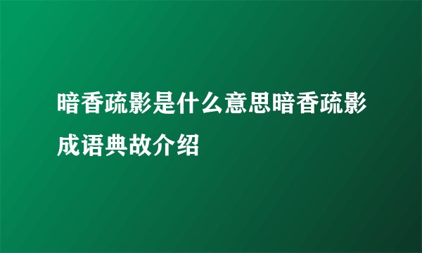 暗香疏影是什么意思暗香疏影成语典故介绍