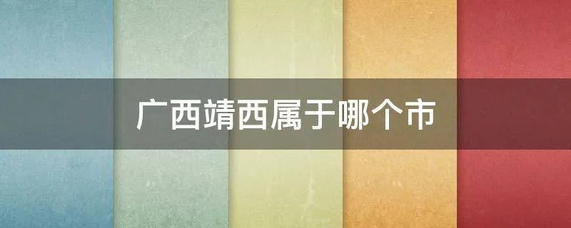 广西靖西属于哪个市