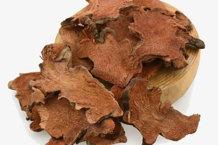 金刚藤的功效与作用图片