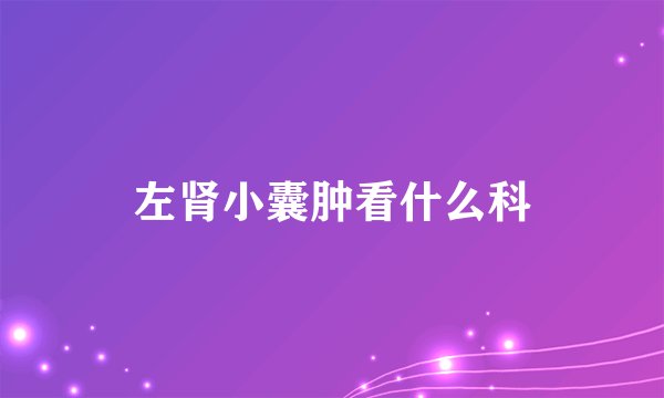 左肾小囊肿看什么科