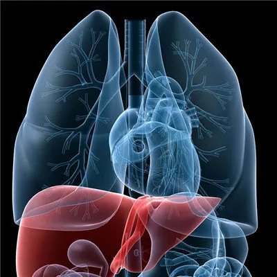 乙肝都会有哪些症状?