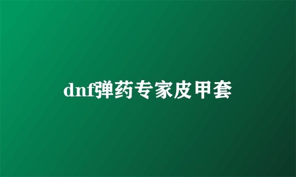 dnf弹药专家皮甲套