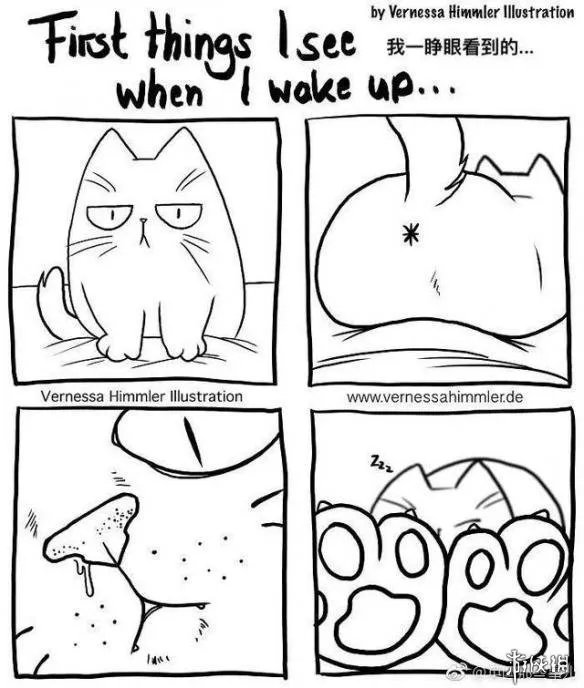 这磨人的小妖精!这20张插画告诉你为什么千万别养猫