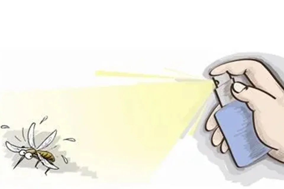 黑旋风能杀蟑螂吗 使用黑旋风杀虫剂需要注意什么