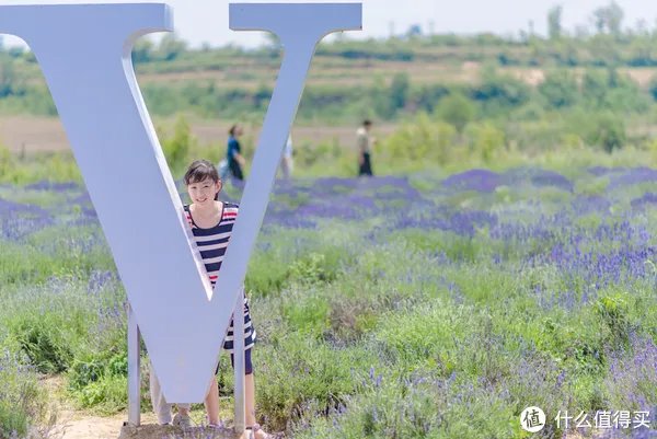 记一次黄河丹峡游记