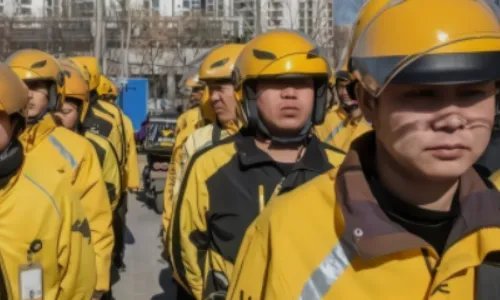 我想连人带车找工作，请问哪个公司需要