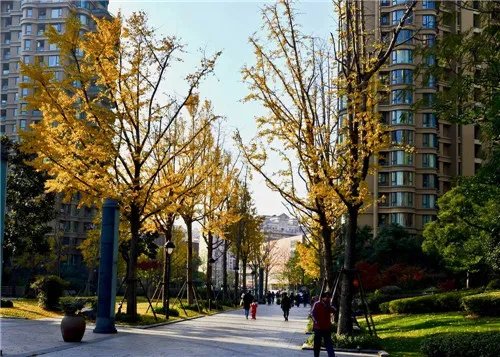 建行房贷提前还部分款可以吗