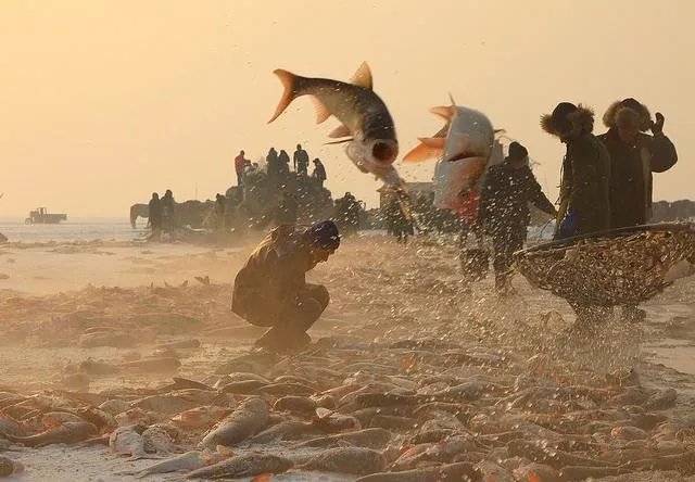 松原有哪些特产？