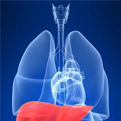 乙肝都会有哪些症状?