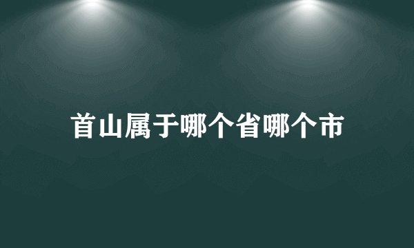 首山属于哪个省哪个市
