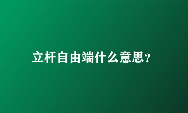 立杆自由端什么意思？