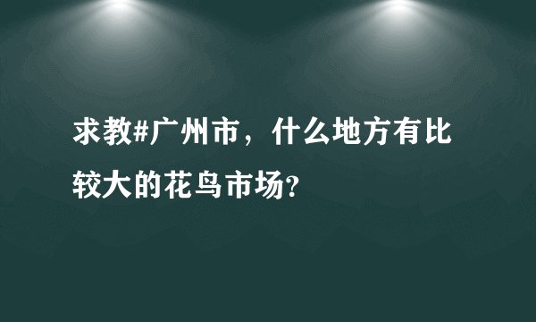 求教#广州市，什么地方有比较大的花鸟市场？