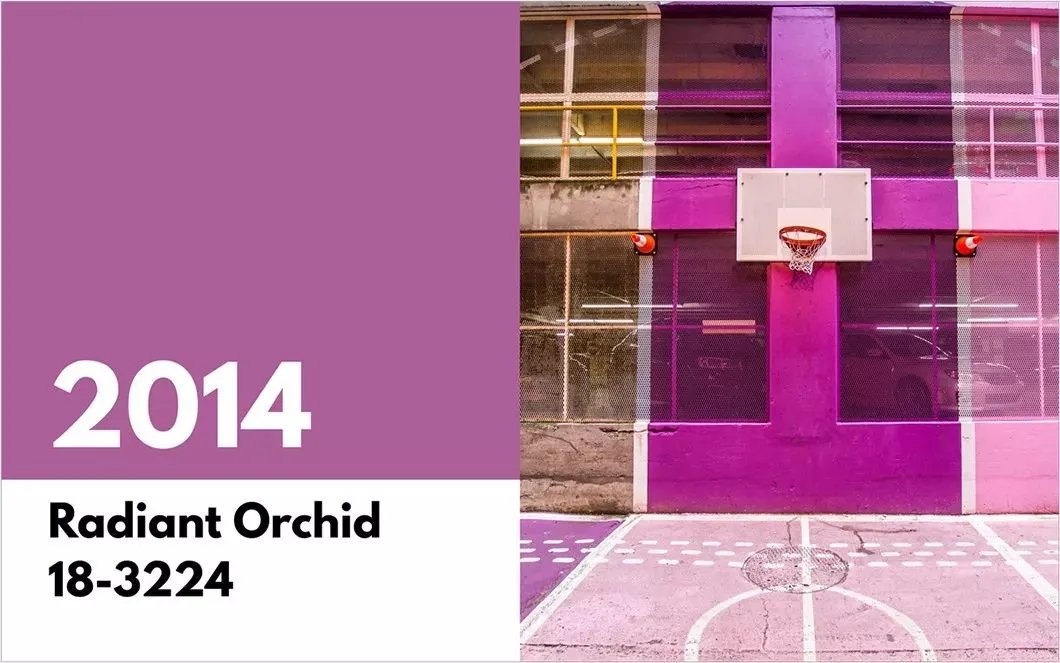 2020年流行色，太美了！