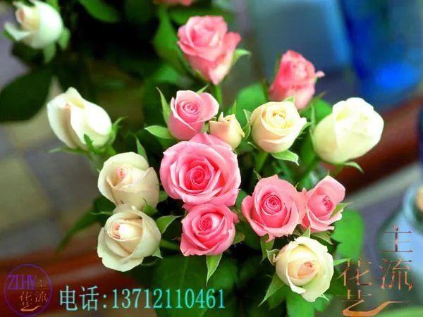 请问广州哪些餐厅可以帮忙在用餐时送花的~