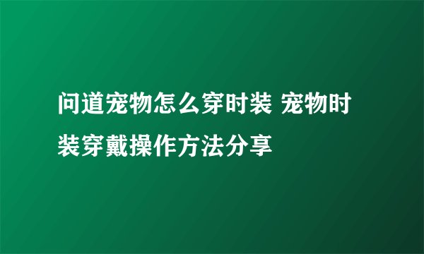 问道宠物怎么穿时装 宠物时装穿戴操作方法分享